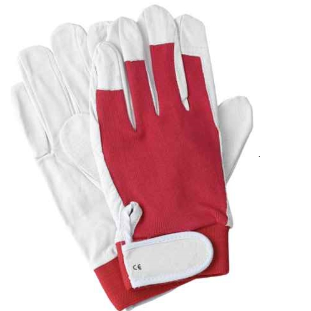 ROKAVICE USNJENE GOLF